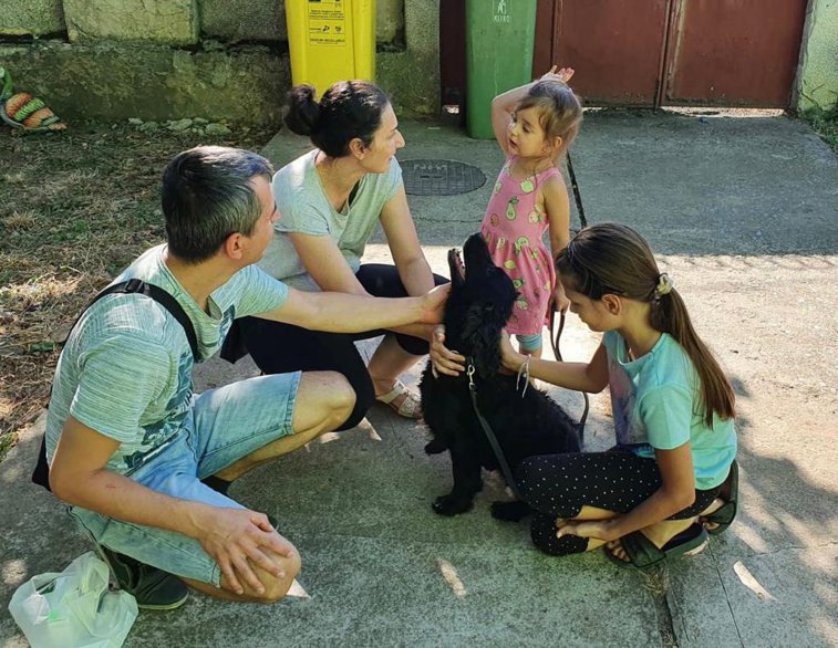 Imaginea articolului FOTO Poliţia Animalelor Arad a readus bucuria într-o familie. Un câine dispărut în urmă cu un an a fost găsit