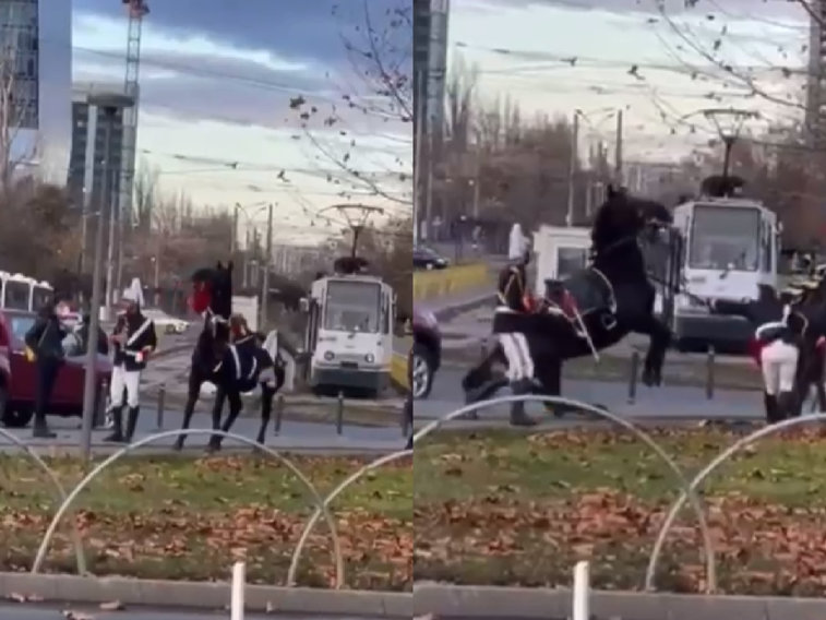 Imaginea articolului VIDEO Jandarmeria implicată într-un nou incident. Un jandarm a cazut de pe cal la paradă