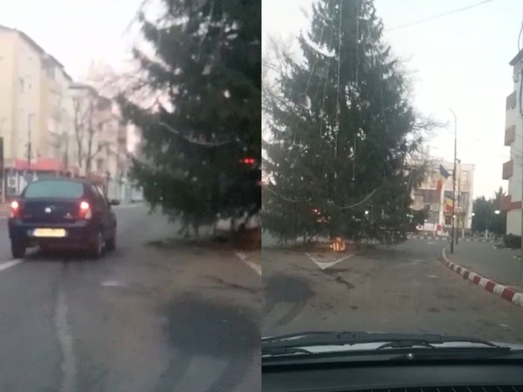 Imaginea articolului Culmea Crăciunului? Un brad a fost montat în mijlocul drumului în oraşul Panciu