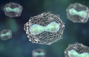 Imaginea articolului Alertă de variola maimuţei în Europa. Portugalia a găsit 5 cazuri, Spania suspectează 8 