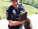 Imaginea articolului Un pui de urs speriat a fost salvat în urma unui apel la 112