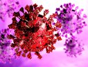 Imaginea articolului Bilanţ coronavirus 21 mai. Peste 300 de cazuri noi în ultimele 24 de ore