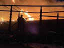 Imaginea articolului Pui de jder, salvat de pădurari şi pompieri din calea focului