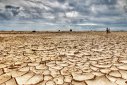 Imaginea articolului Situaţie gravă: suprafaţa totală afectată de secetă în România ajunge la 329.680 hectare