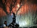 Imaginea articolului Incendiu puternic în Delta Dunării: ard papură şi stuf pe 150 de hectare