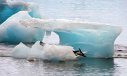 Imaginea articolului O regiune din Antarctica se topeşte rapid. Nivelul mărilor lumii ar putea creşte cu peste un metru