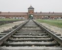 Imaginea articolului Supravieţuitoare a Holocaustului împărtăşeşte experienţa pe TikTok pentru a educa tinerii