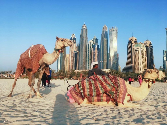 Imaginea articolului În Dubai, până şi nisipul costă bani grei