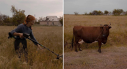Imaginea articolului Imaginea zilei de pe front: cu detectorul de bombe, ca să-şi poată scoate vaca la păscut