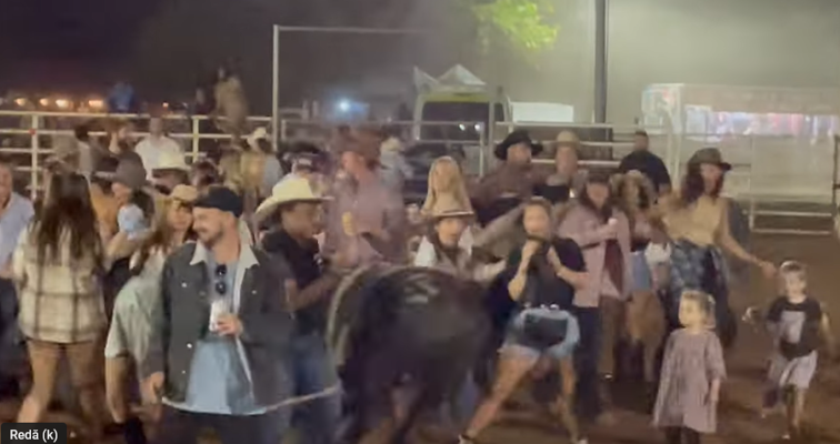 Imaginea articolului Un taur a intrat în mulţimea care dansa: doi răniţi la rodeoul Kununurra
