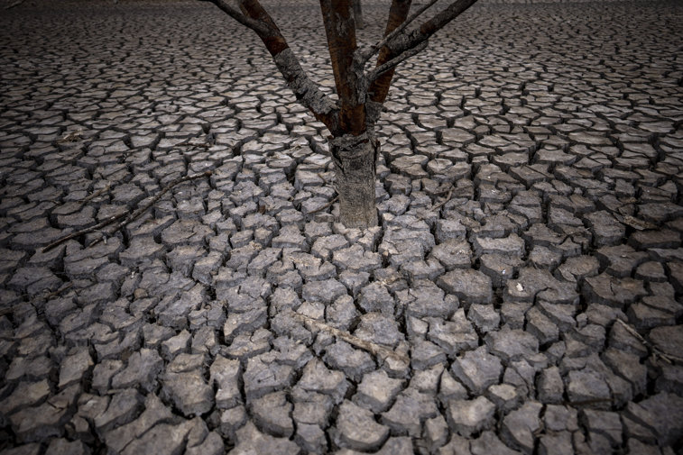 Imaginea articolului Criza de apă din Europa ia amploare din mai multe cauze