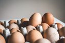 Imaginea articolului De ce nu trebuie să vă lipsească ouăle şi telemeaua din frigider – beneficii pentru sănătate (P)