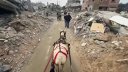 Imaginea articolului Pe străzile din Gaza, cu o căruţă trasă de un măgar: războiul a transformat totul în moloz

