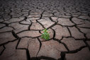 Imaginea articolului Fechet: România pierde în fiecare an aproape o mie de hectare de teren arabil din cauza încălzirii globale