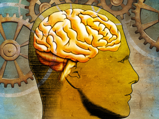 Imaginea articolului Un cercetător în neuroştiinţe dezvăluie 5 obiceiuri simple pentru îmbunătăţirea memoriei
