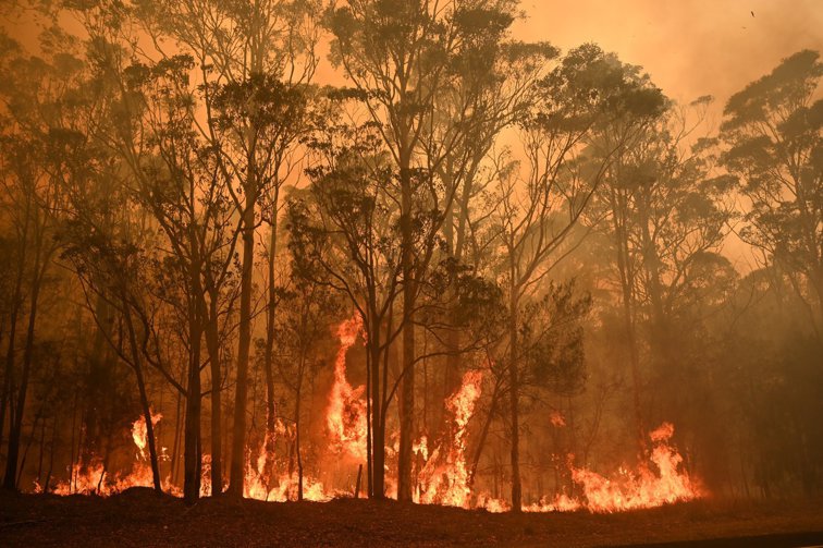 Imaginea articolului Bacău: Două aeronave intervin pentru stingerea unui incendiu care afectează 20 de hectare de pădure