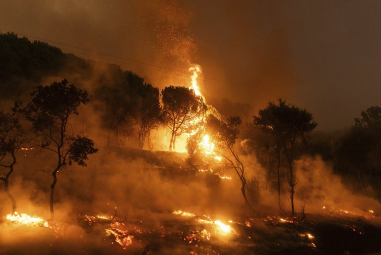 Imaginea articolului Incendiile de vegetaţie din Europa au distrus anul trecut o suprafaţă de două ori mai mare decât Luxemburgul