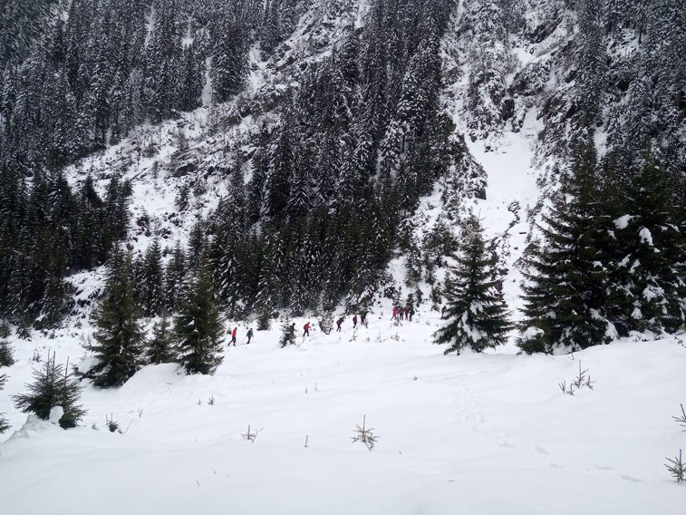 Imaginea articolului Pe Valea Sâmbetei, în Munţii Făgăraş, s-a depus un nou strat de zăpadă de 20-25 de centimetri