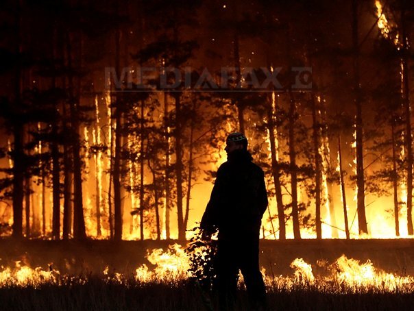 Imaginea articolului Incendiul de vegetaţie în Harghita: Aproximativ 50 de hectare de pădure de răşinoase, cuprinse de flăcări