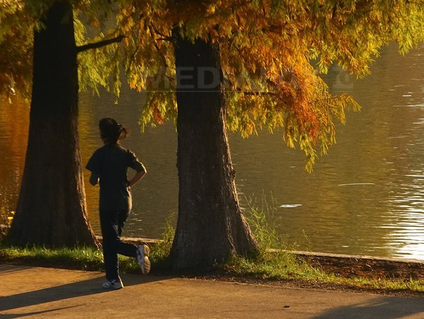 Imaginea articolului Un studiu efectuat la Bucureşti îşi propune sǎ stabilească dacǎ alergarea îmbunǎtǎţeste memoria