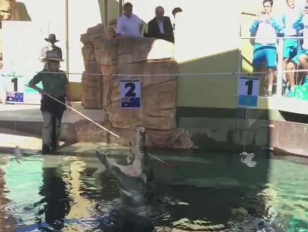 Imaginea articolului Un crocodil a efectuat tragerea la sorţi a partidelor întâlnirii Australia-Kazahstan din Cupa Davis - VIDEO