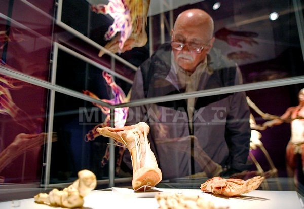 Imaginea articolului Prima expoziţie permanentă a unor corpuri umane disecate şi plastifiate, deschisă la Berlin