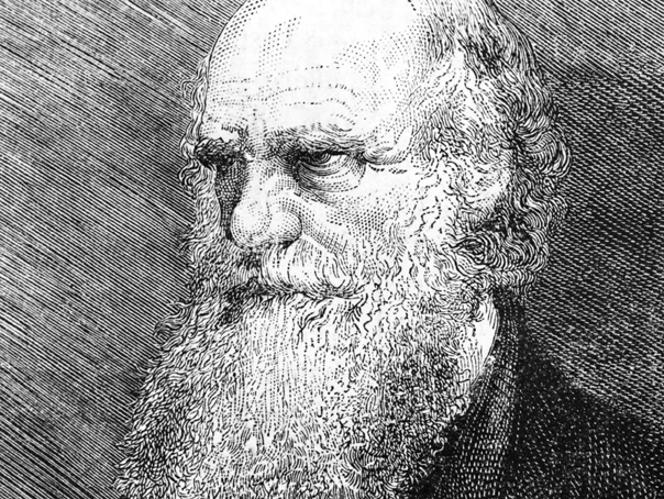 Imaginea articolului FOCUS. Autobiografia lui Darwin. Când era mic se ruga la Dumnezeu - VIDEO