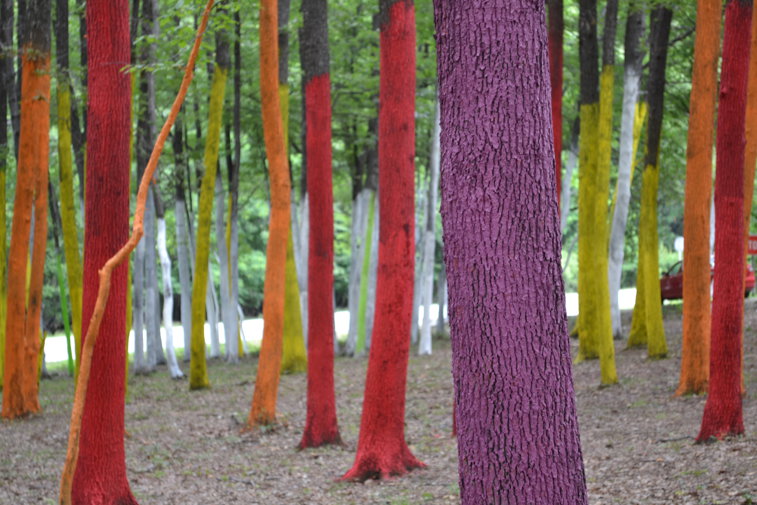 Imaginea articolului O pădure colorată. Templul naturii, ridicat de artistul Mihai Ţopescu într-un codru din Poienari. "Suntem, aici, printre copaci-coloane"