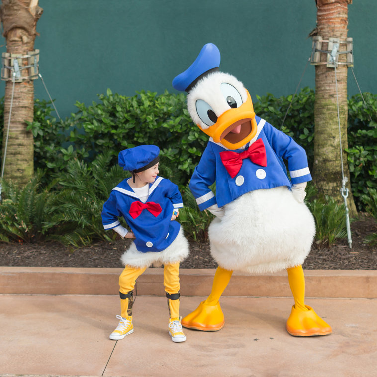Imaginea articolului Donald Duck împlineşte 86 de ani