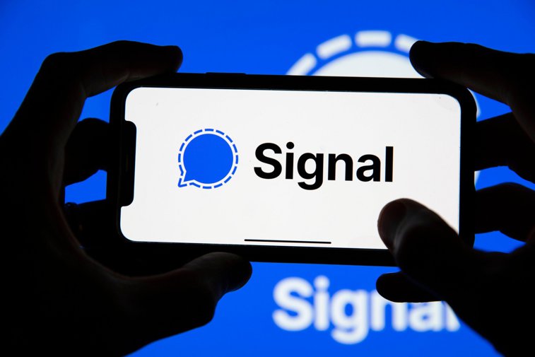 Imaginea articolului Facebook interzice reclamele Signal 