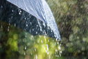 Imaginea articolului Continuă ploile torenţiale şi vijeliile. Cod galben pentru cea mai mare parte a ţării 