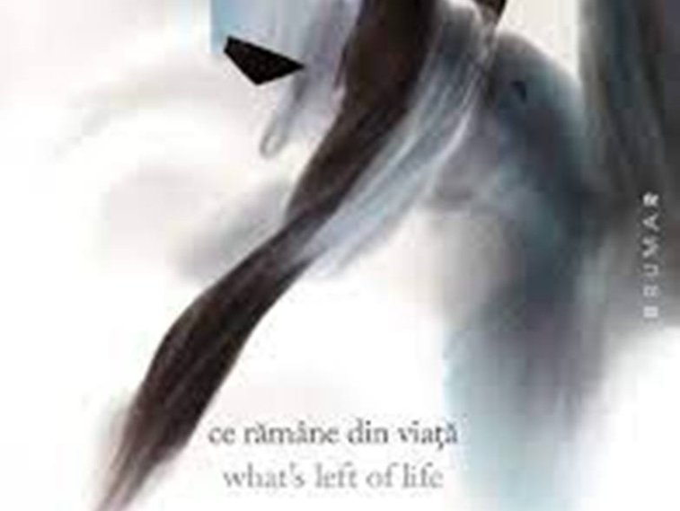 Imaginea articolului O carte pe zi: „Ce rămâne din viaţă/ What’s left of life” de Robert Şerban
