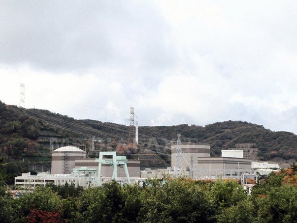 Imaginea articolului Japonia a confirmat existenţa unei falii active sub un reactor al centralei nucleare de la Tsuruga