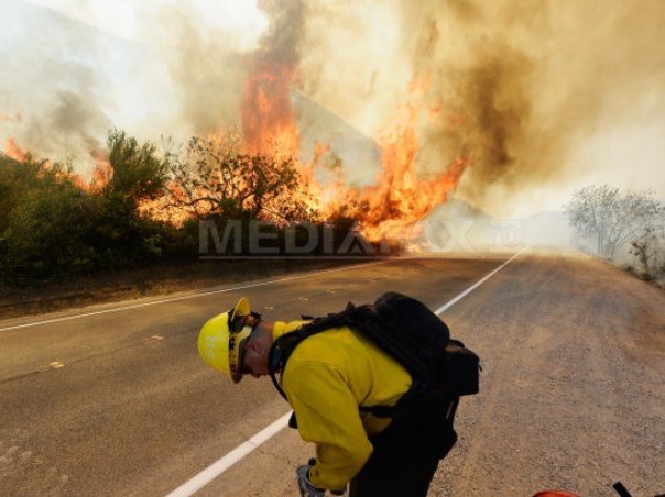 Imaginea articolului Incendiu de vegetaţie în California: Cinci răniţi şi 1.800 de persoane evacuate