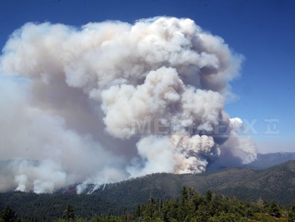 Imaginea articolului INCENDIUL din parcul naţional american Yosemite: Cine a provocat al patrulea cel mai mare foc din istoria Californiei