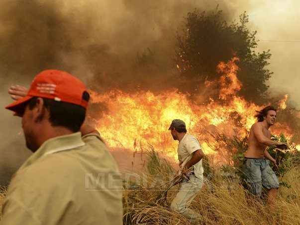 Imaginea articolului Incendiile de pădure din Portugalia au provocat şapte morţi în rândul pompierilor