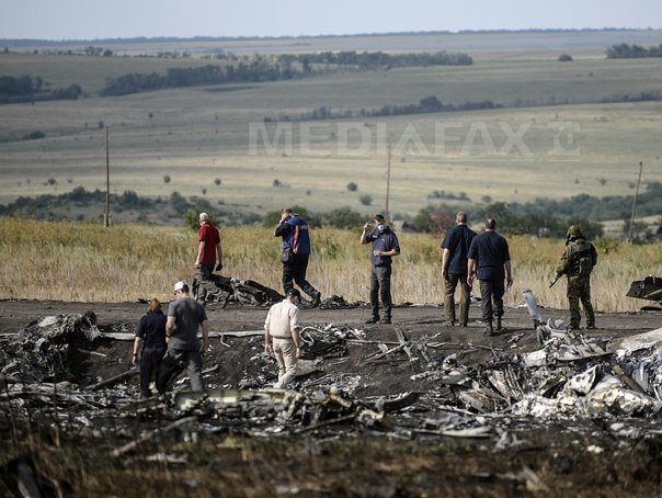 Imaginea articolului Locul prăbuşirii avionului MH17, la 10 zile de la accident - FOTO, VIDEO