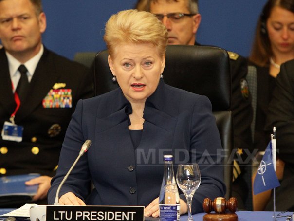 Imaginea articolului Preşedinta Lituaniei compară Rusia lui Putin cu gruparea Stat Islamic
