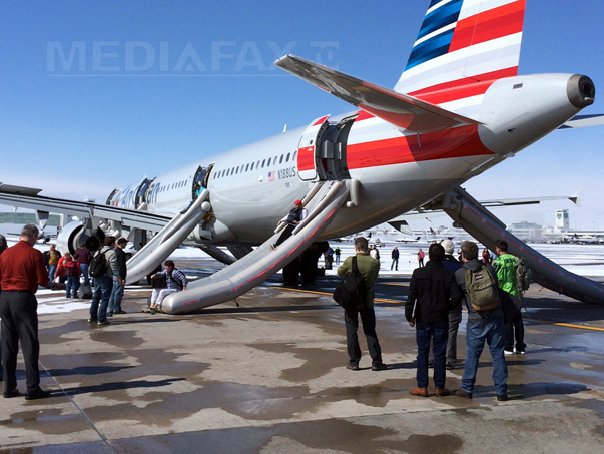 Imaginea articolului Un avion al American Airlines cu 127 de pasageri la bord a revenit la sol după ce a lovit o pasăre