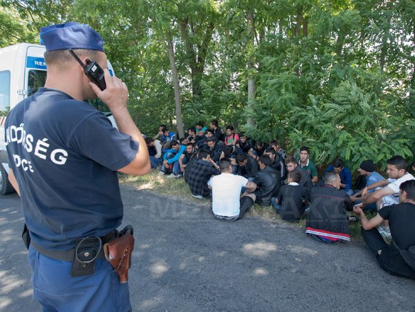 Imaginea articolului Poliţişti din Ungaria şi Austria vor fi mobilizaţi la frontiera dintre Serbia şi Macedonia