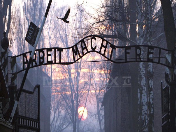 Imaginea articolului Un avocat critică justiţia din Germania pentru "eşecul de decenii" în procesele privind Holocaustul