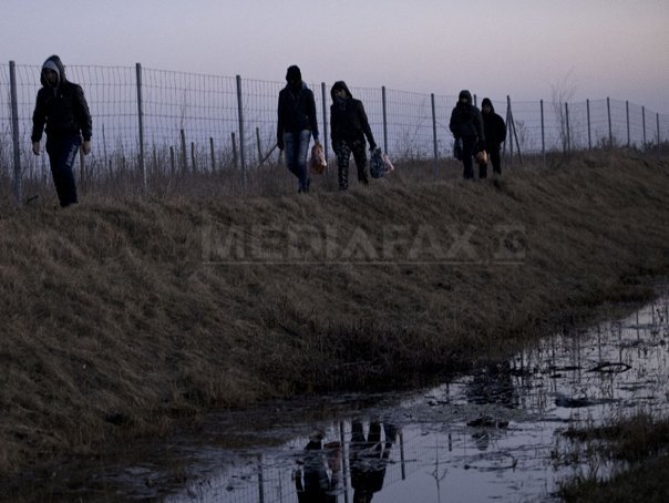 Imaginea articolului Un rus şi doi austrieci, reţinuţi în Ungaria, suspectaţi de trafic de imigranţi