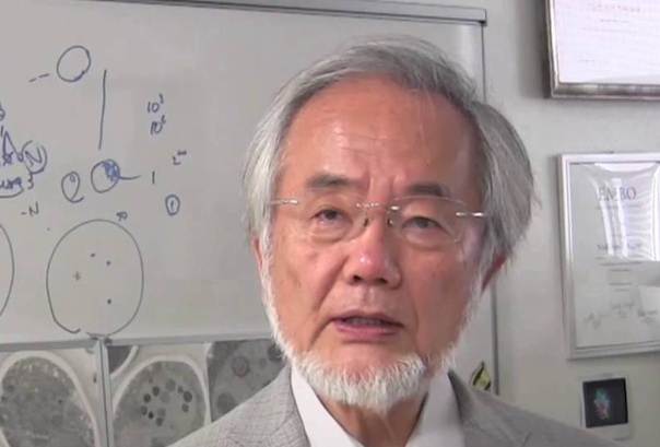 Imaginea articolului Premiul Nobel pentru fiziologie şi medicină a fost câştigat de Yoshinori Ohsumi