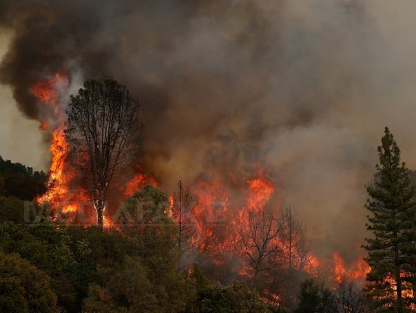 Imaginea articolului VIDEO | Incendii devastatoare în Canada: Mii de oameni, evacuaţi. Autorităţile au decretat stare de urgenţă
