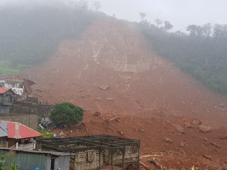 Imaginea articolului Amnesty International: Lipsa politicilor guvernamentale de mediu au cauzat dezastrul din Sierra Leone