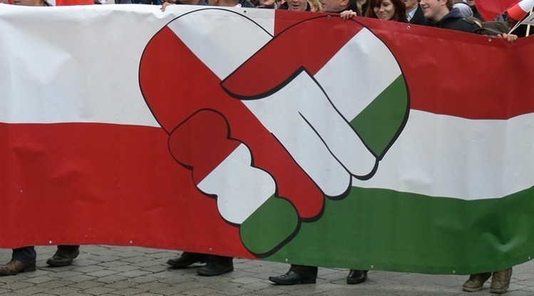 Imaginea articolului Parlamentul Ungariei şi-a exprimat solidaritatea cu Polonia în privinţa conflictului cu UE