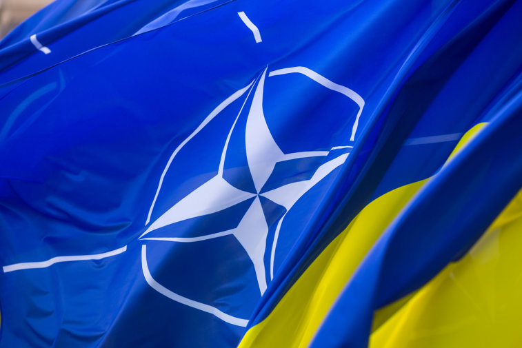 Imaginea articolului NATO a oferit Ucrainei statut de ţară aspirantă pentru aderare