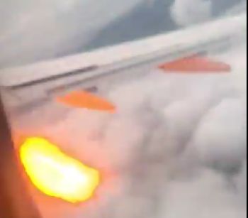 Imaginea articolului PANICĂ în aer: Momentul în care motorul unui avion scoate flăcări, în urma impactului cu mai multe păsări/ VIDEO