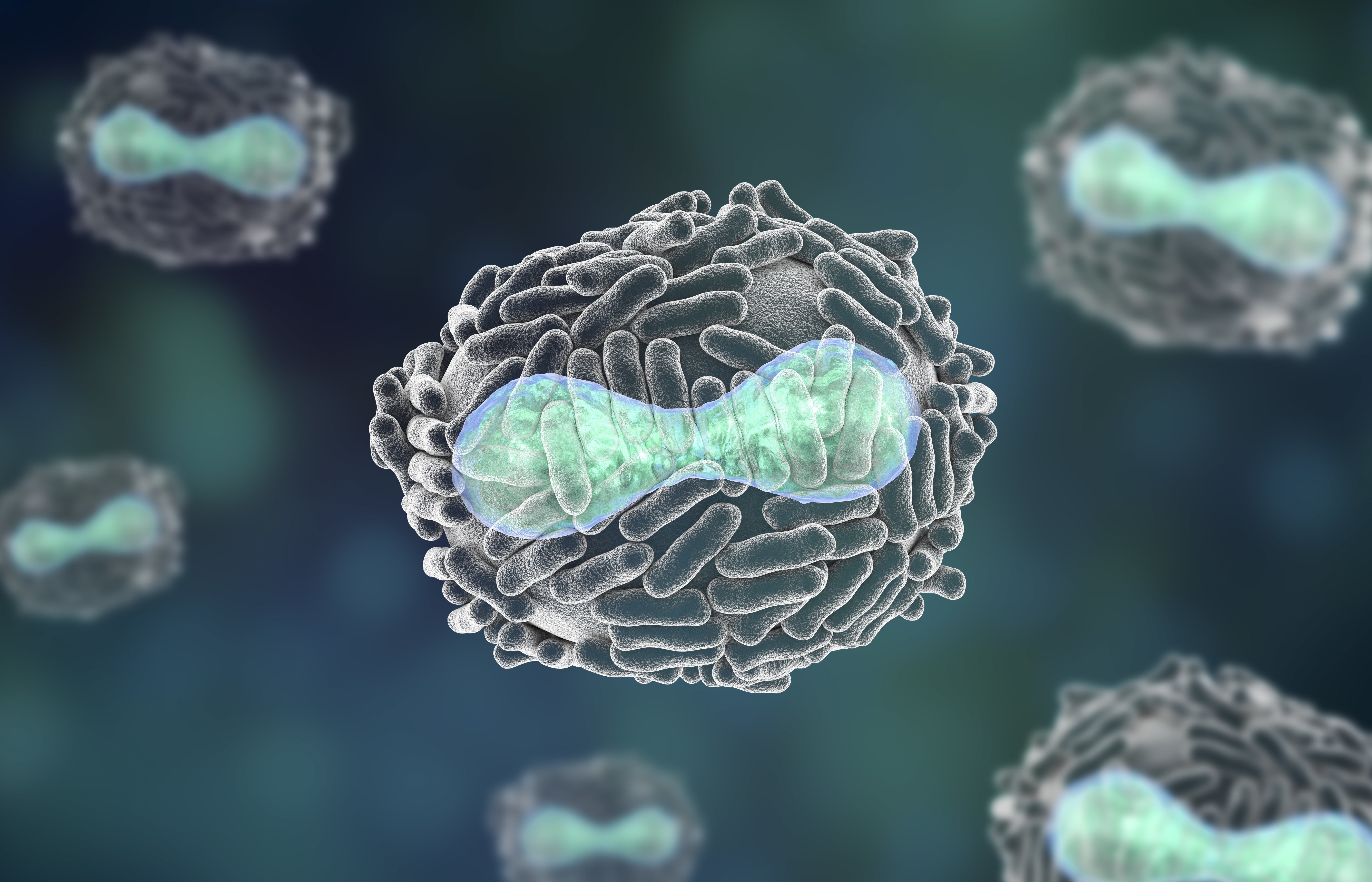 Imaginea articolului Vector, un laborator din Rusia care deţine mostre de viruşi precum Ebola, HIV şi variolă, zguduit de o explozie. Anunţul autorităţilor