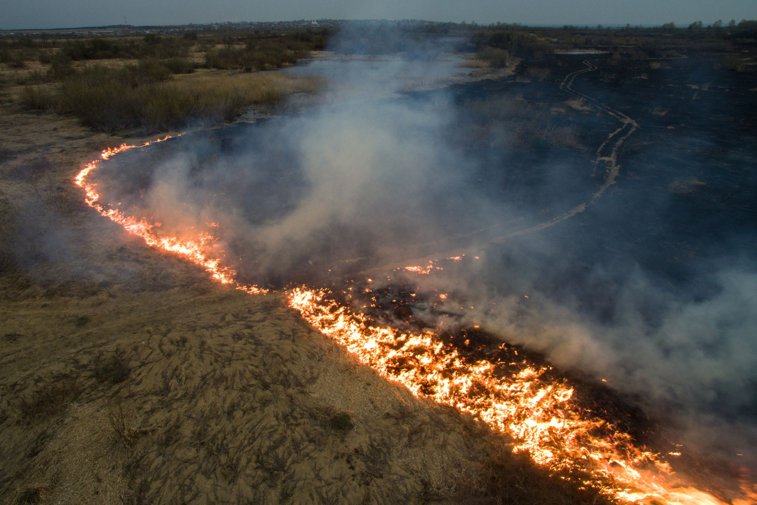Imaginea articolului Starea de urgenţă a fost activată în California ca urmare a intensificării incendiilor de vegetaţie   